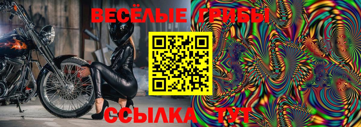Псилоцибиновые грибы Cubensis  Псилоцибиновые грибы прущие грибы  Вход с VPN  Ессентуки 
